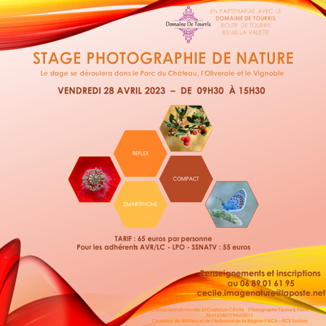 Stage photographique nature
